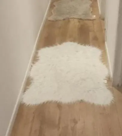 Quarto em Acomodações Particulares Le Coucher Du Soleil Blankenberge